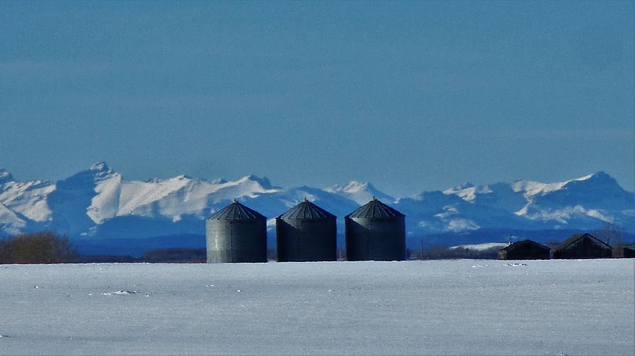 canada artico