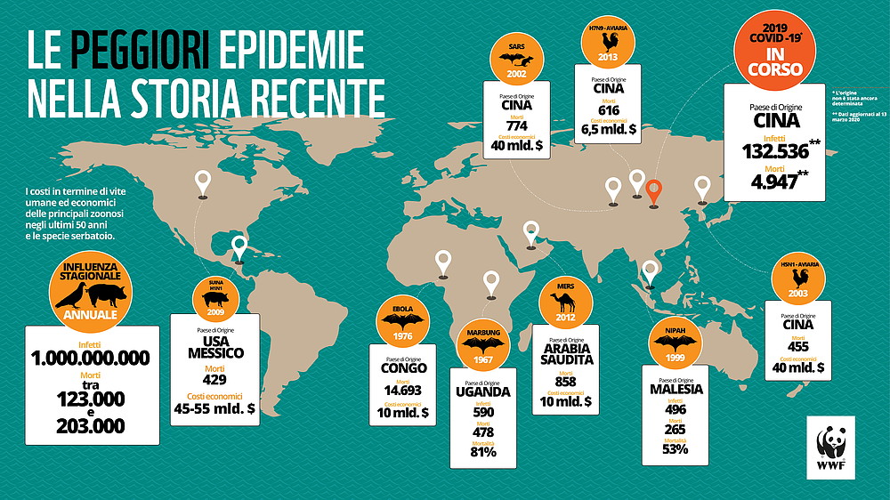 epidemia infografica wwf