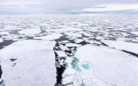 oceano artico