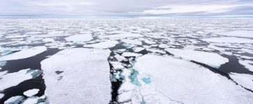 oceano artico