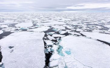 oceano artico