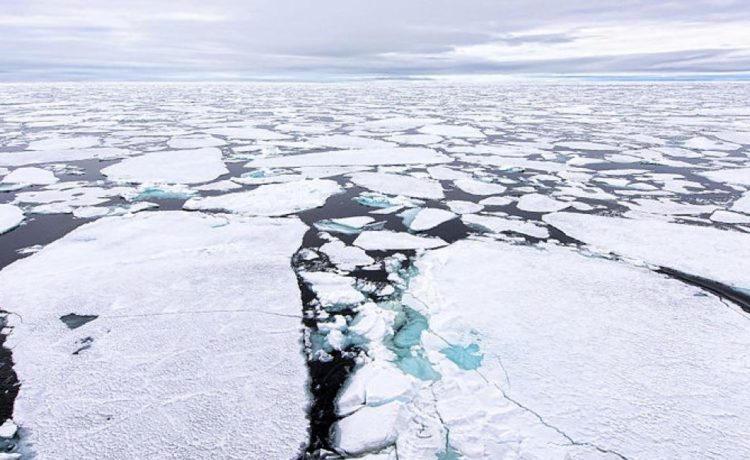 oceano artico