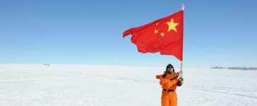 cina artico
