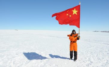cina artico