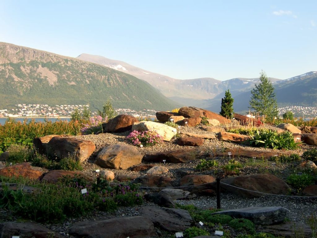 Botanic Garden Tromso