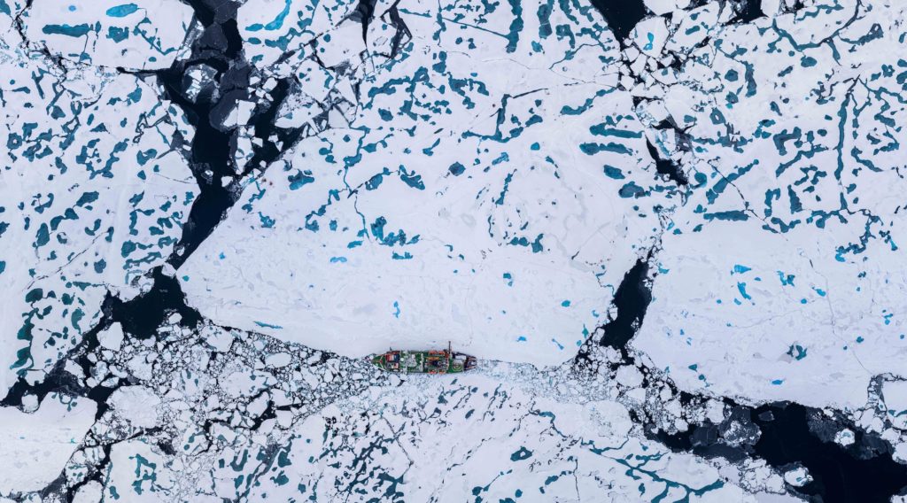 mosaic arctic