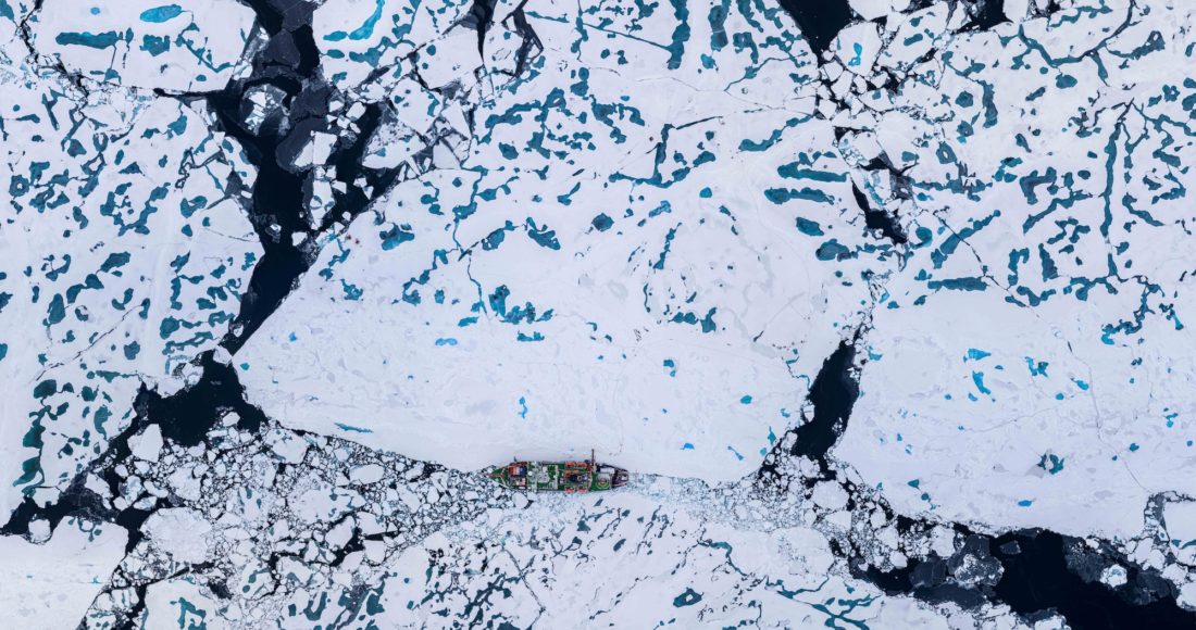 mosaic arctic
