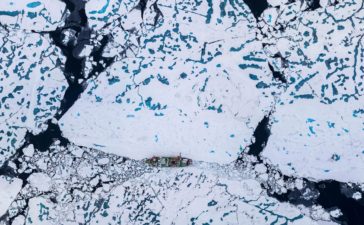 mosaic arctic