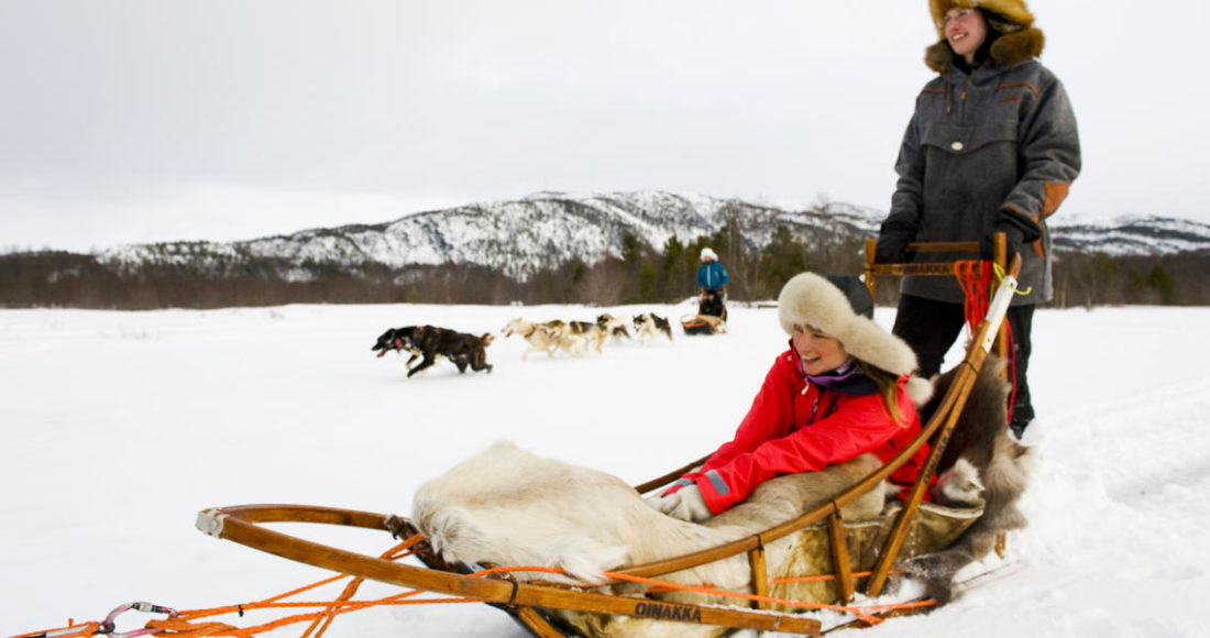 sleddog norway