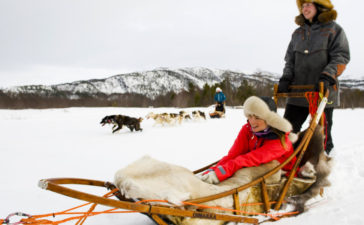 sleddog norway