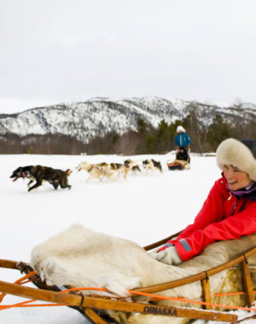sleddog norway