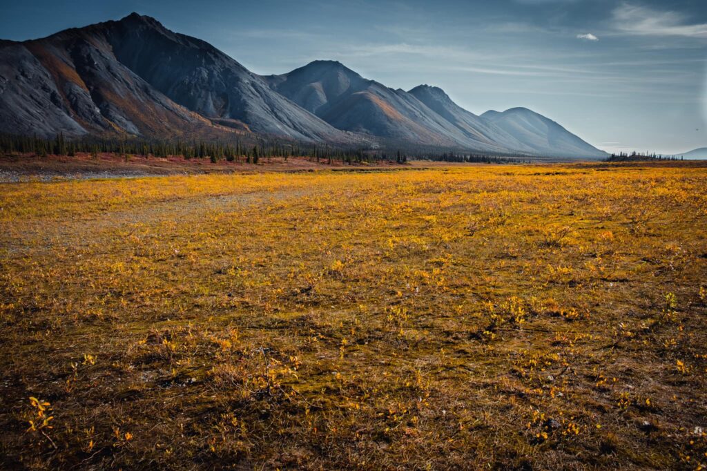 ANWR