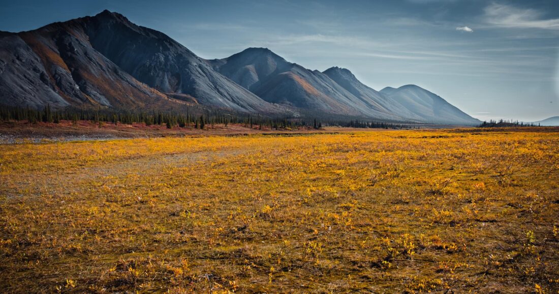 ANWR