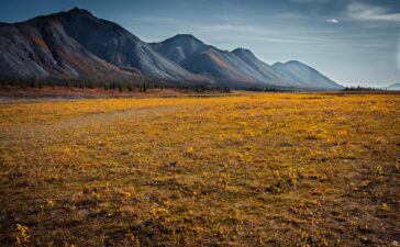 ANWR