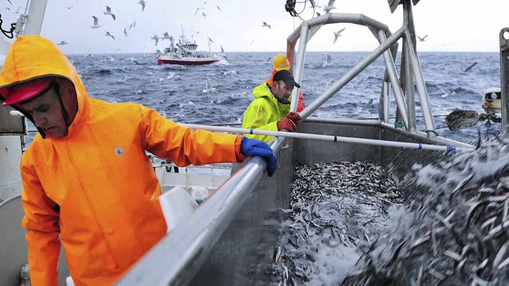pesca-norvegia