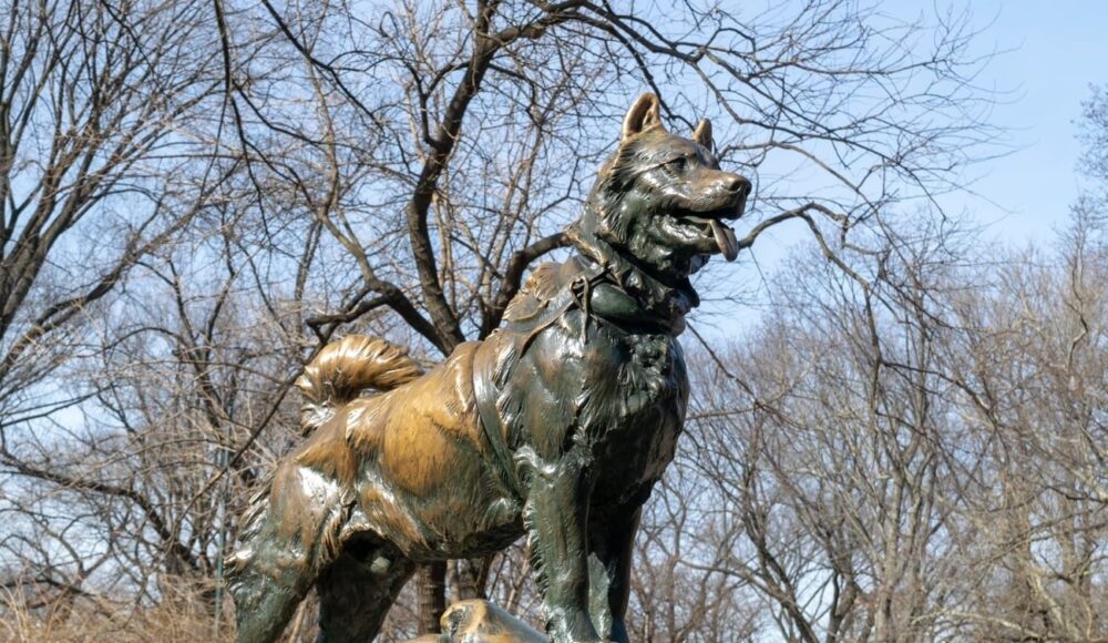 statua di balto