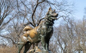 statua di balto