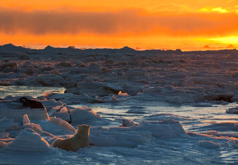 Tramonto nella Baia di Hudson (foto di T. Thompson)