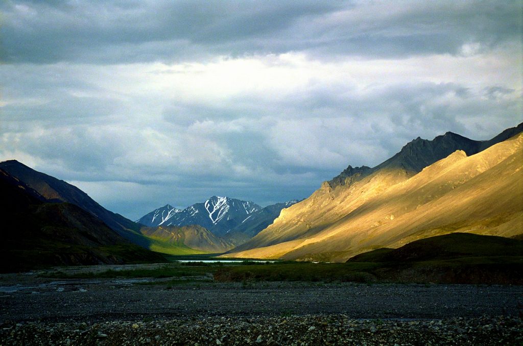 arctic-national-wildlife-refuge