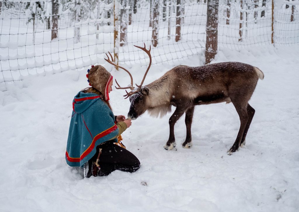 sami lapponia natura