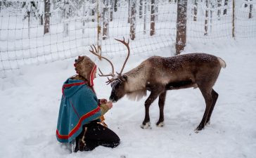 sami lapponia natura