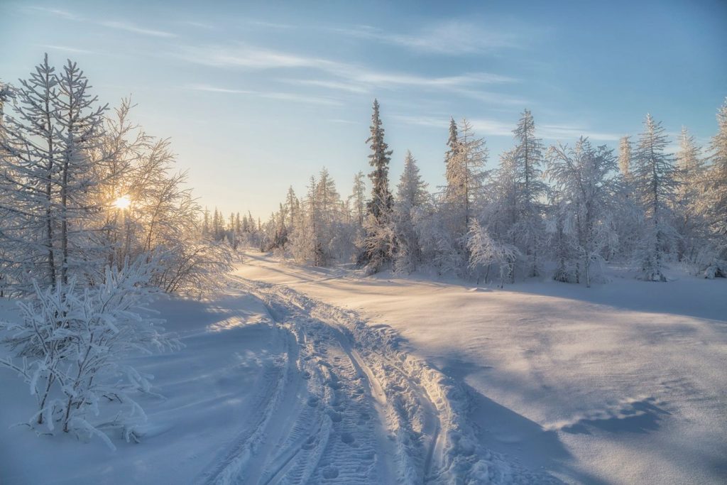 regione yamal