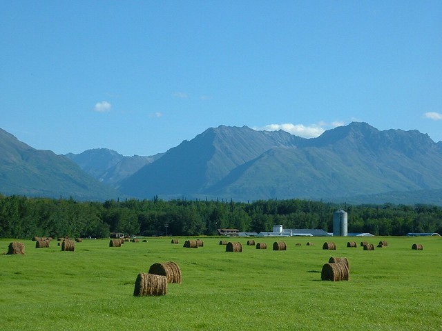 alaska agricoltura