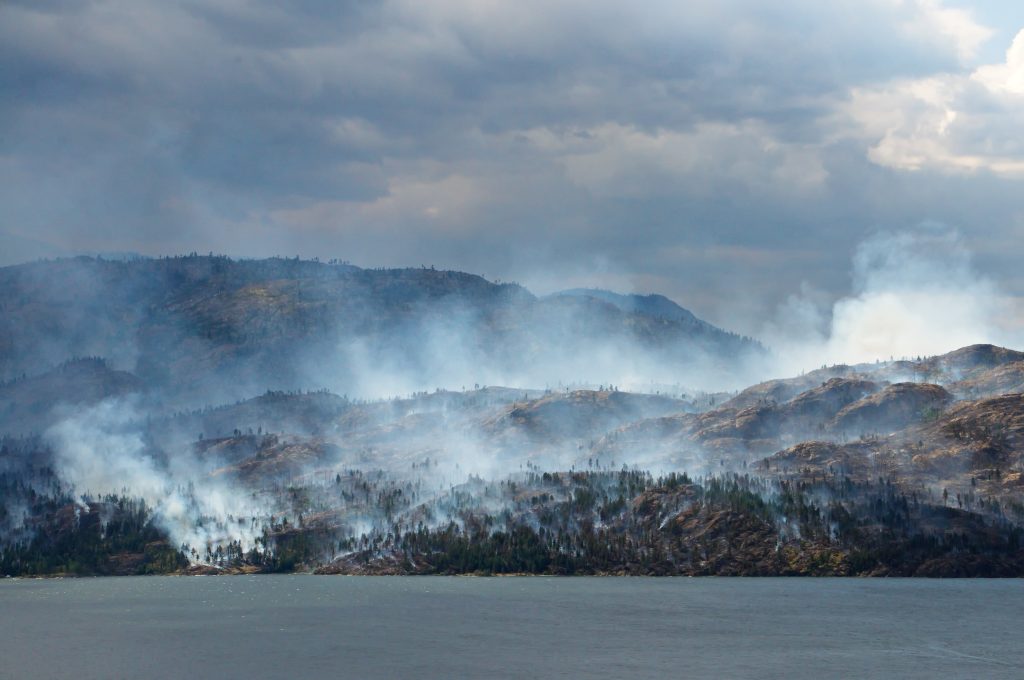 incendi siberia