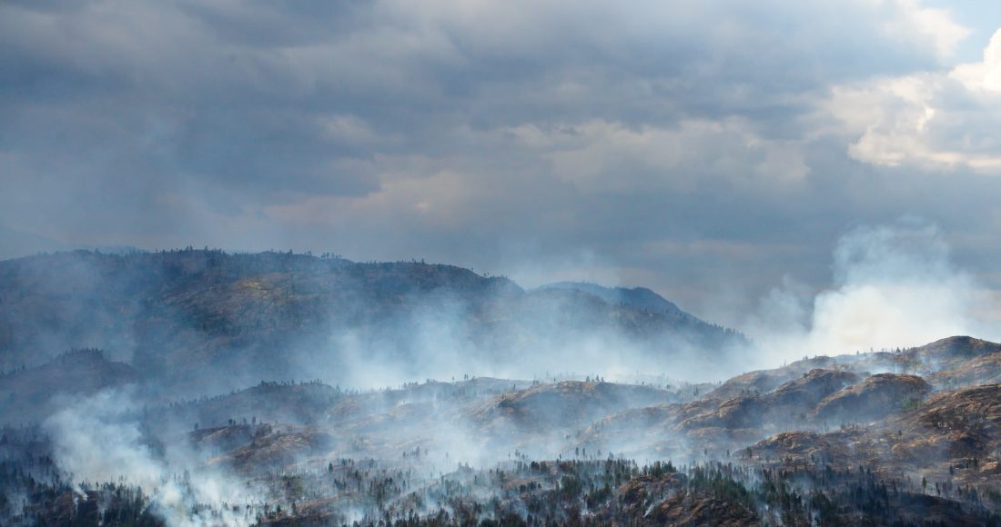 incendi siberia