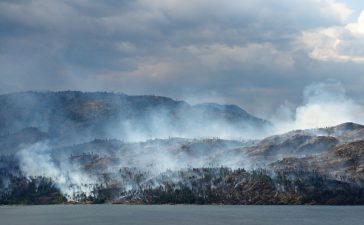 incendi siberia