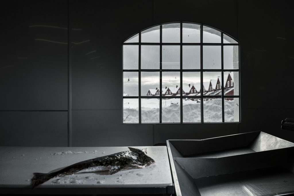Skrei