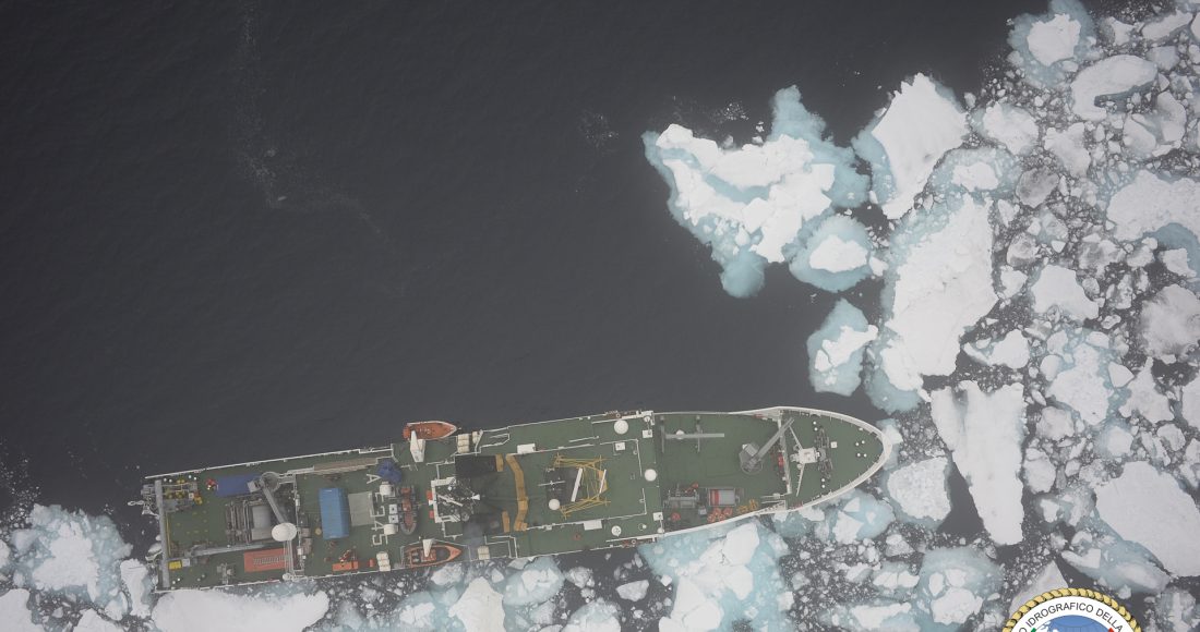 nave alliance