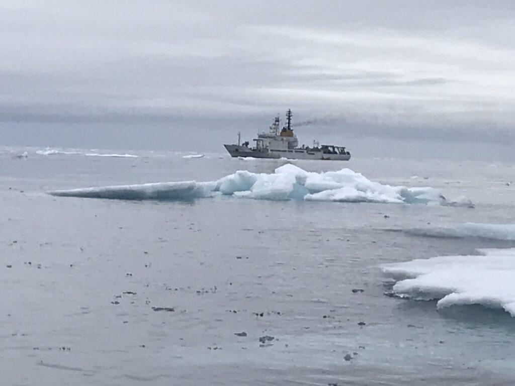 high north 2022