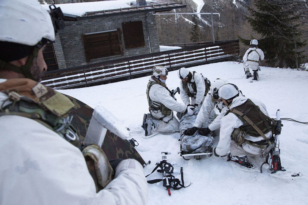 alpini artico