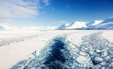 arctic connections
