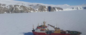 laura bassi nave