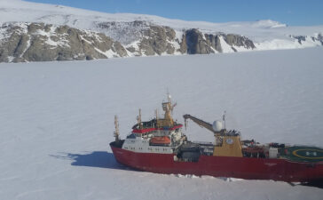 laura bassi nave