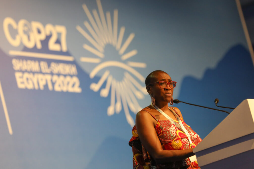 COP27
