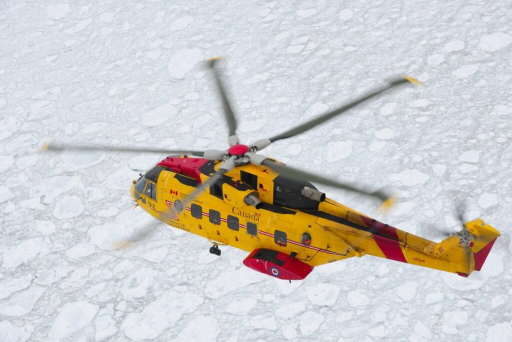 aw101 cormorant