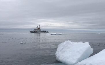 nave alliance