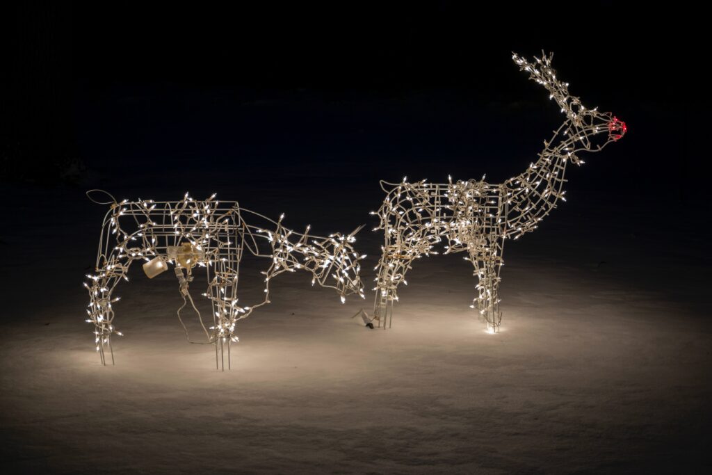 rudolph natale