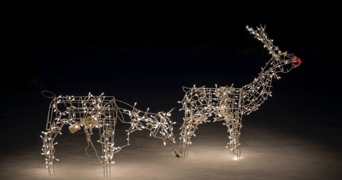 rudolph natale