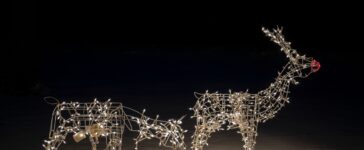 rudolph natale