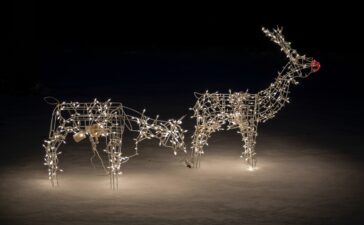 rudolph natale