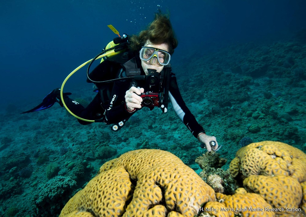 Sylvia Earle