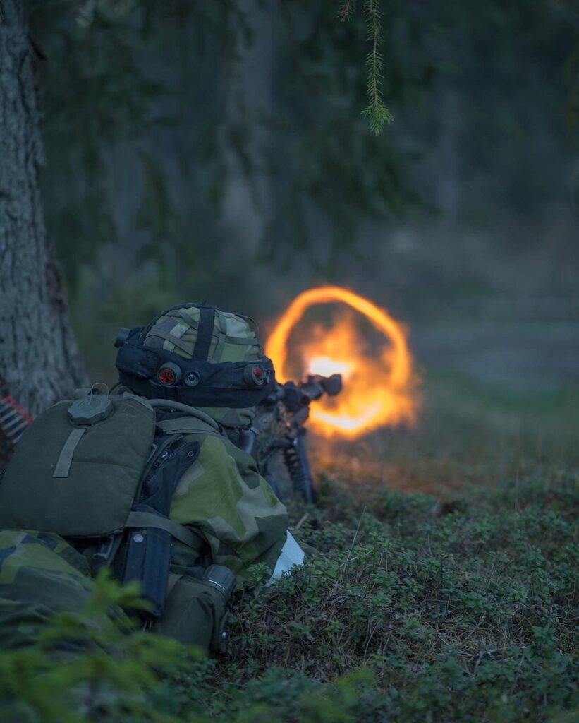 esercito svezia