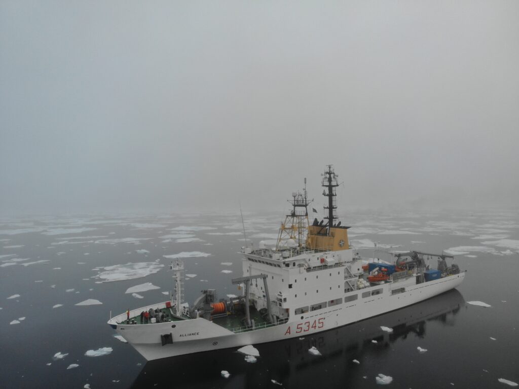 nave alliance
