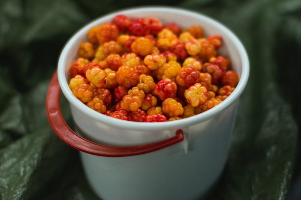 cloudberry