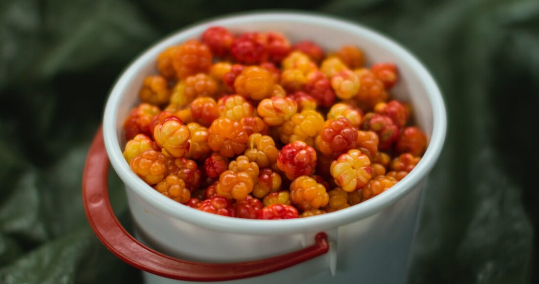 cloudberry