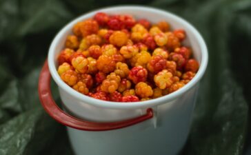 cloudberry